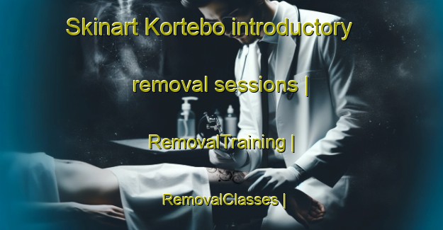 Skinart Kortebo introductory removal sessions | RemovalTraining | RemovalClasses | SkinartTraining-Sweden